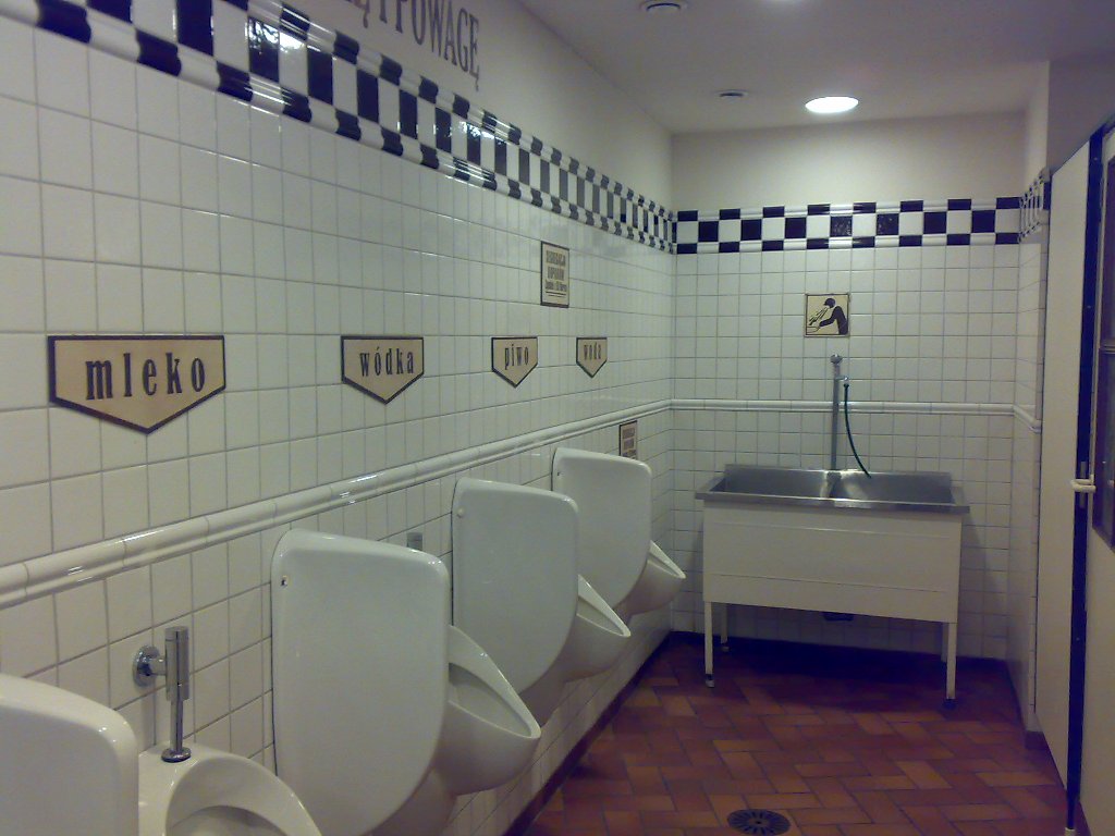 Organizzazione - Organization